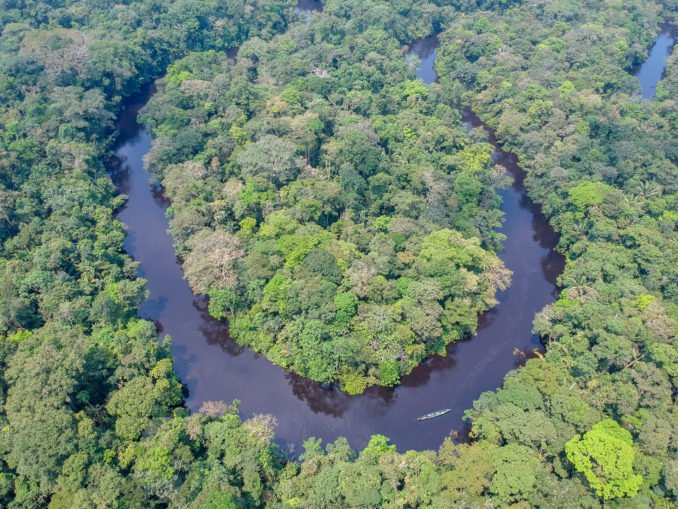 Amazonia ecuatoriana